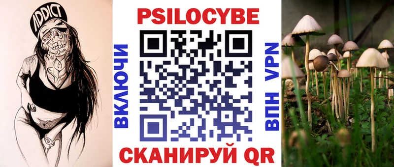 Псилоцибиновые грибы прущие грибы  Дюртюли 